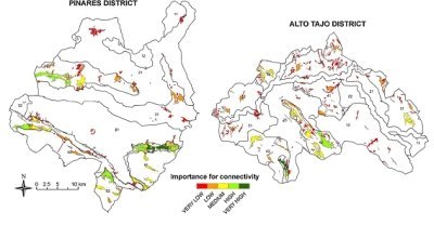 How To Improve The Forest Connectivity Of Landscapes By Selecting Agricultural Lands For Reforestation Based On Ecological Criteria?
